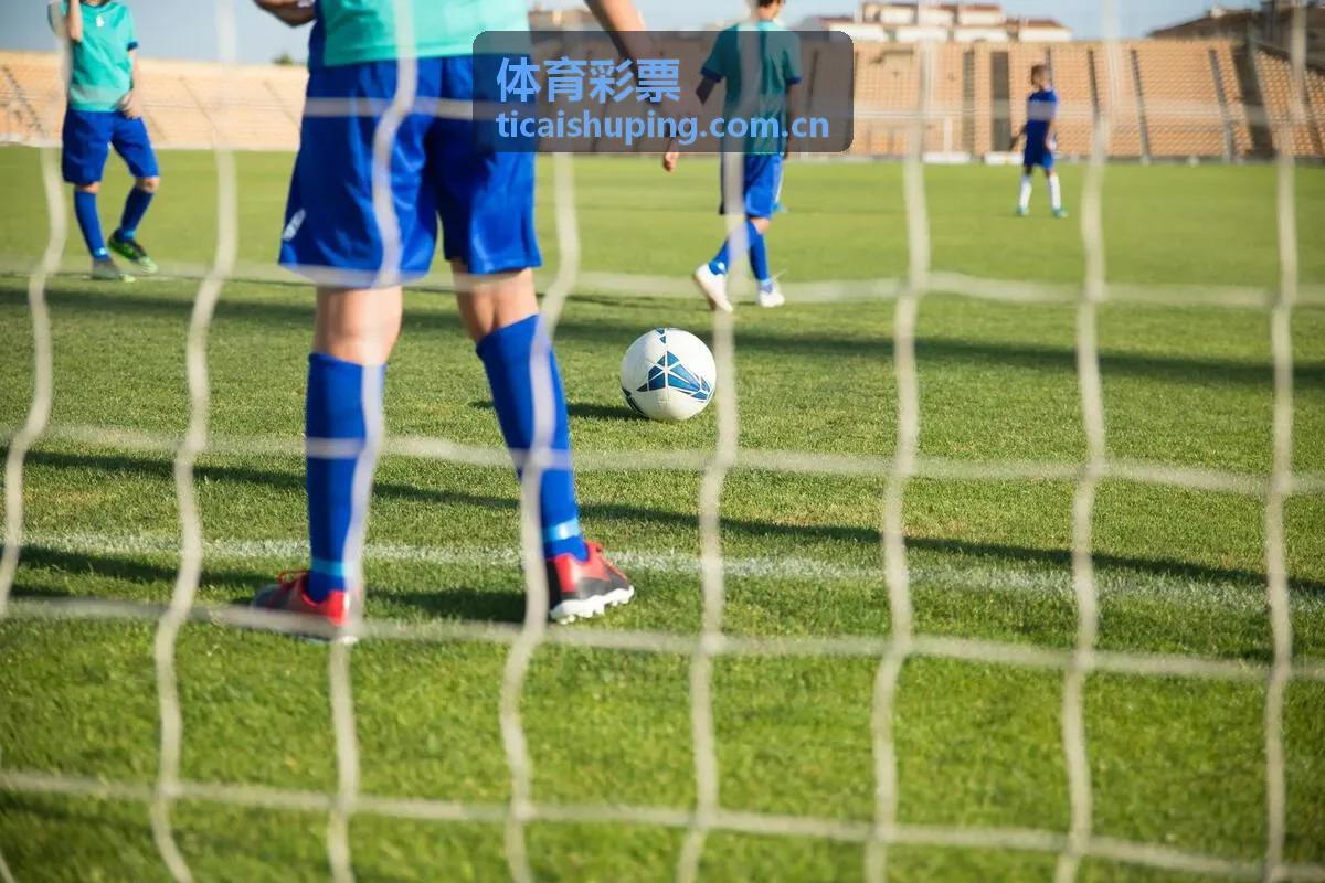 体育彩票多期对比查询
